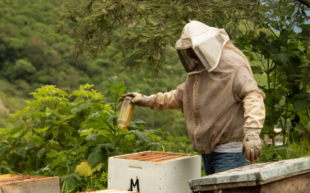 BEITRAG: DAS HANDWERK DER IMKER